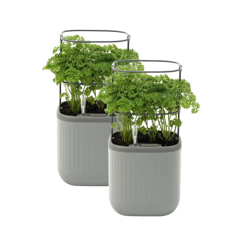 Mini Plastic Outdoor Pot Planter with Trellis, Fog Gray, 2