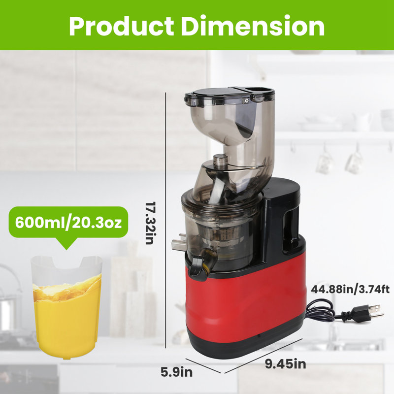 300W Cold Press Juicer Machine