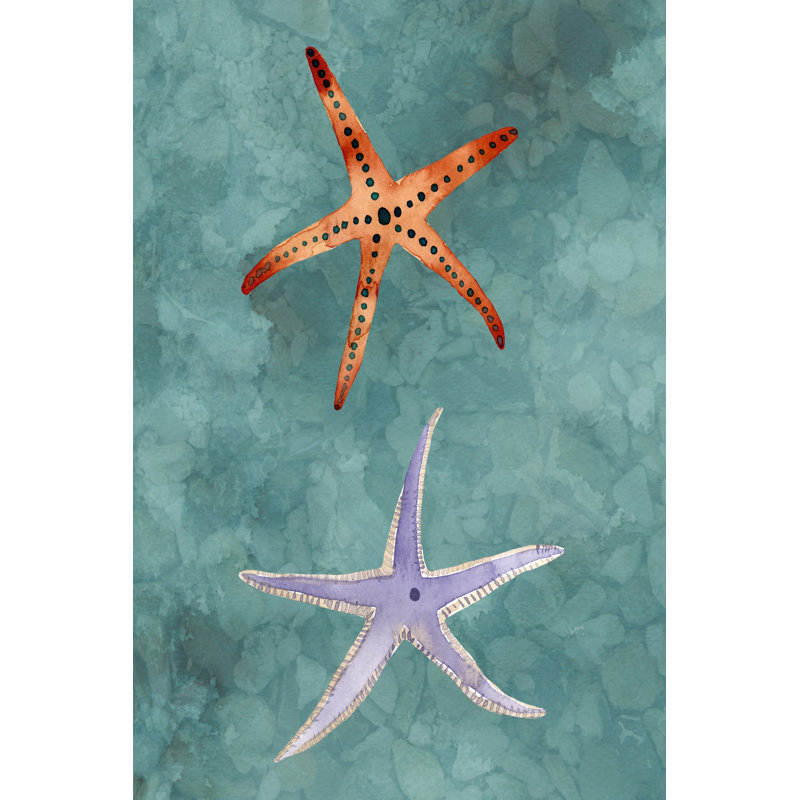 Twin Starfish III by Alicia Ludwig - Wrapped Canvas Painting, 122cm H x 81cm W x 3.8cm D