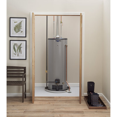 GE RealMAX Platinum 50-Gallon Tall Liquid Propane Atmospheric Water Heater