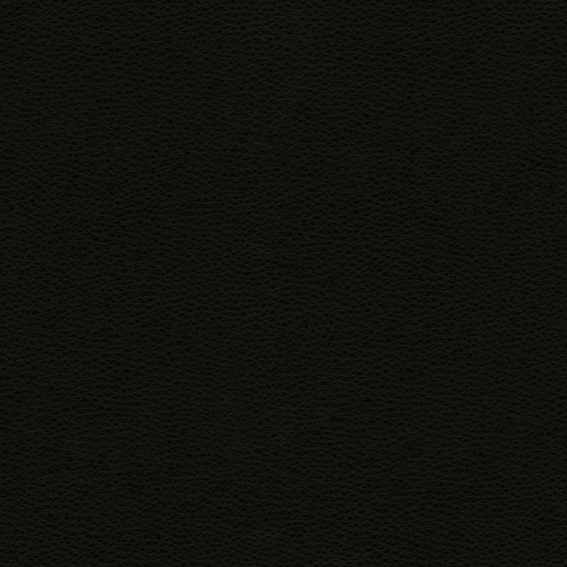 Rigel Fabric, Black