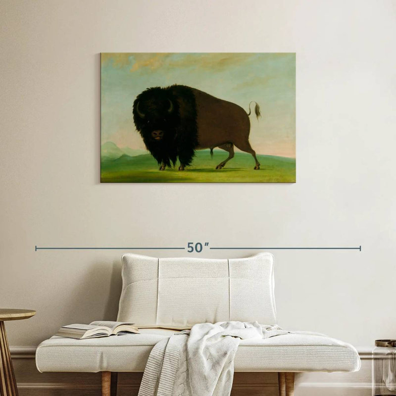 Taureau Brampt broutant dans la prairie, H 24 po x l 36 po