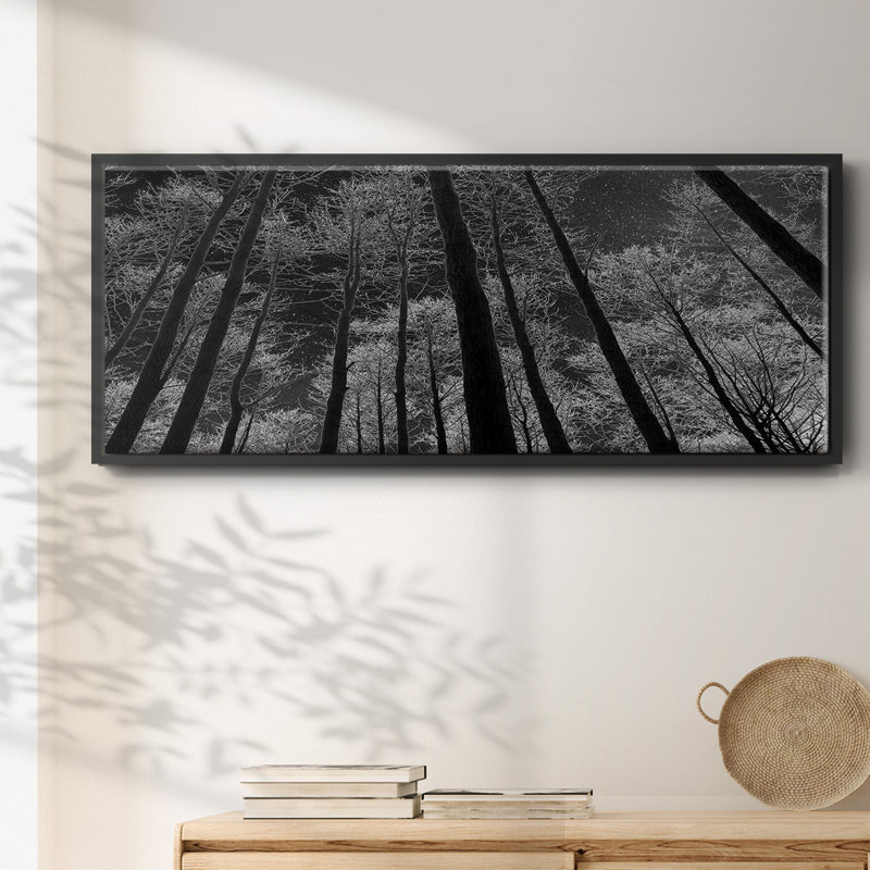 Night Sky- Framed Canvas, 20" H x 50" W