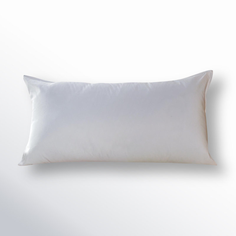 Wayfair Sleep™ Polyester Plush Pillow, Queen/Standard Pillow: 20" x 30"