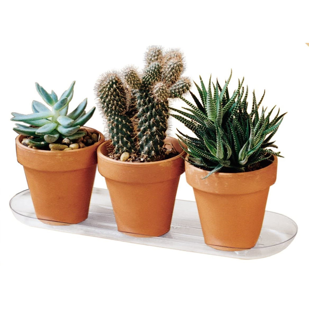 Plastec Plantpak Oval Saucer, Clear, 18"L X 6" W Plastec 