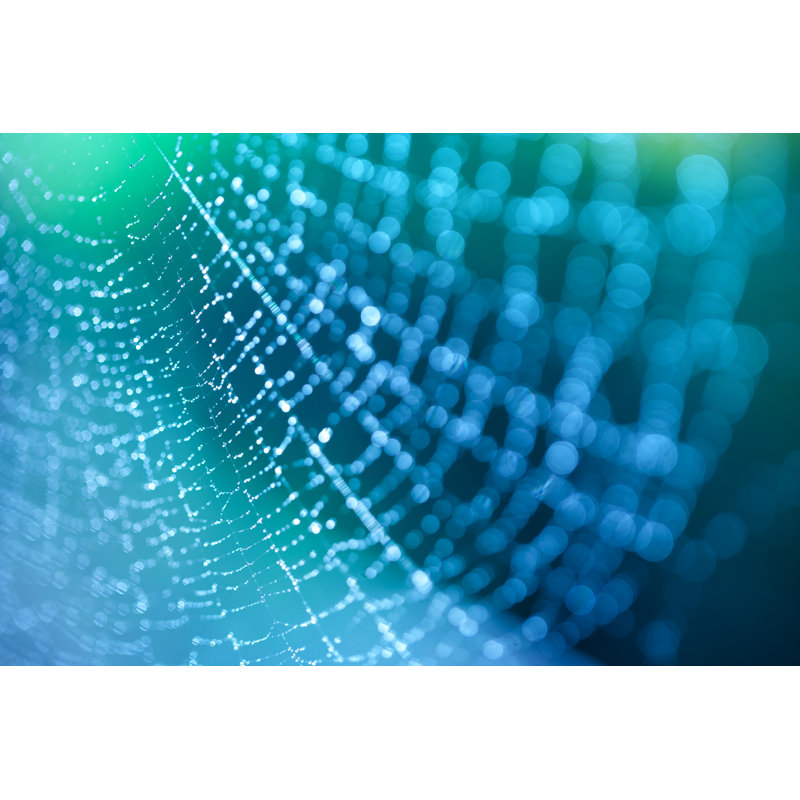 Spider Web by 5ugarless - Wrapped Canvas Print, 51cm H x 76cm W x 3.8cm D