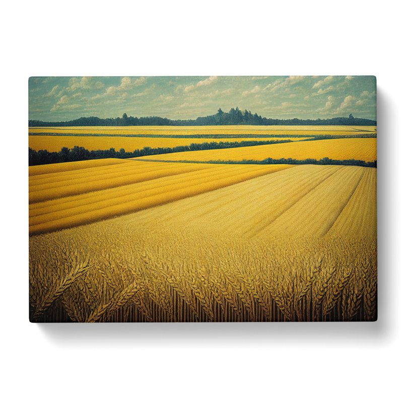 Magnetic Wheat Field - Wrapped Canvas, 35cm H x 50cm W x 3cm D