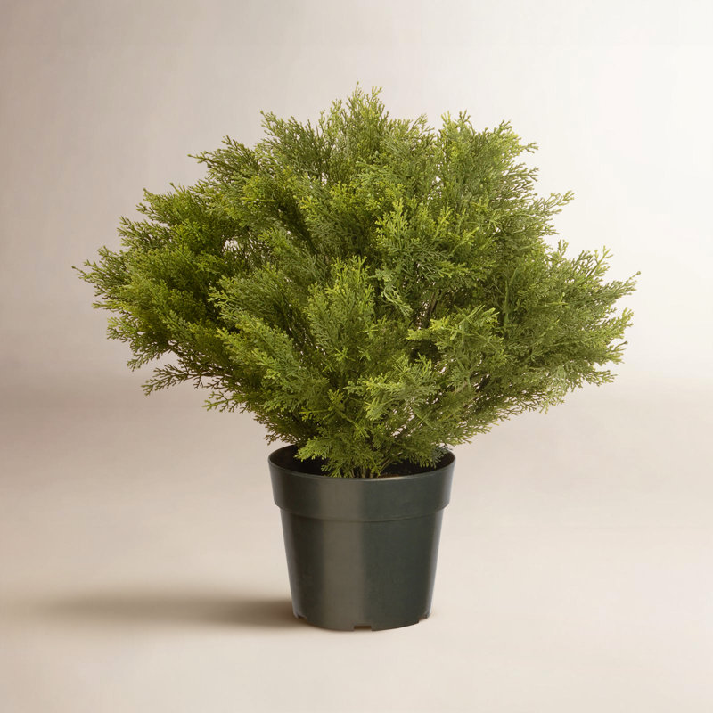 28-Inch Artificial Globe Juniper Tree, Realistic Fake Tree Potted Plant, Dark Green Round Growers Pot