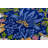 Non-Slip Floral Outdoor Doormat-798455904