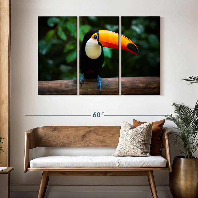 Brampt Brazilian Toucan, 32" H x 50" W