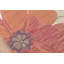 Marmolejo Floral Indoor Rug-1642087955