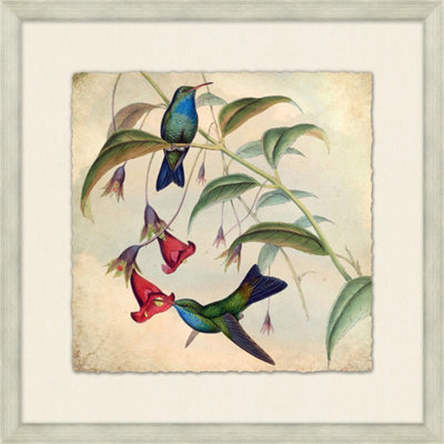 Humming Bird Garden 6 Painting
