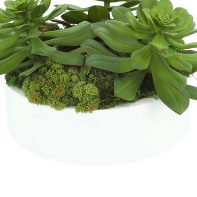 Sedum and Echeveria Arrangement in Fiberstone Planter