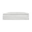 Camellia 15'' Plush Pillow Top-58173847