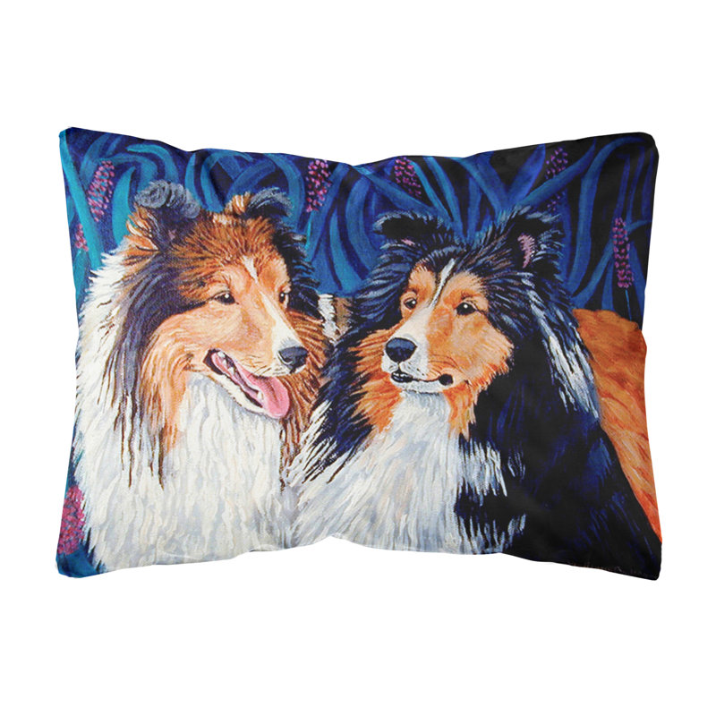 Coussin décoratif intérieur/extérieur sheltie