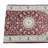 Performance Oriental Indoor Rug