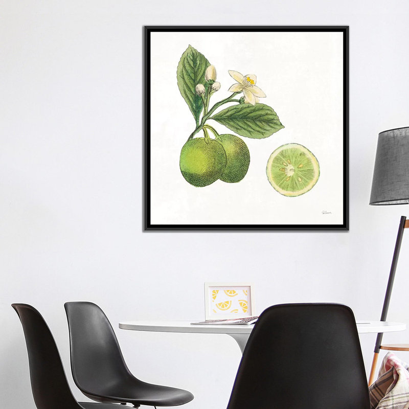 « classic agrumes iii », reproduction d’impression sur toile tendue, H 18 po x l 18 po x P 1,5 po, Toile avec cadre noir