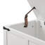 Coffre de rangement 47,2 po Farmhouse-2030778711