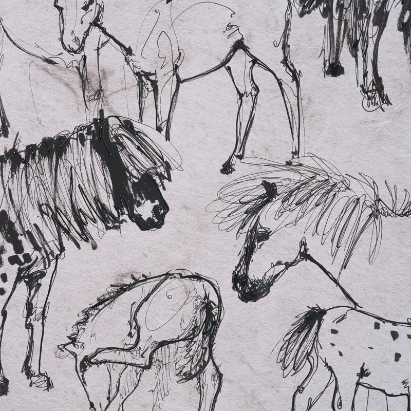 Pony Sketches I par Studio, Croquis de poneys I