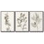 Collection de coquillages VI - ensemble de 3 reproductions de cadres photo sur toile-97754109-97754110