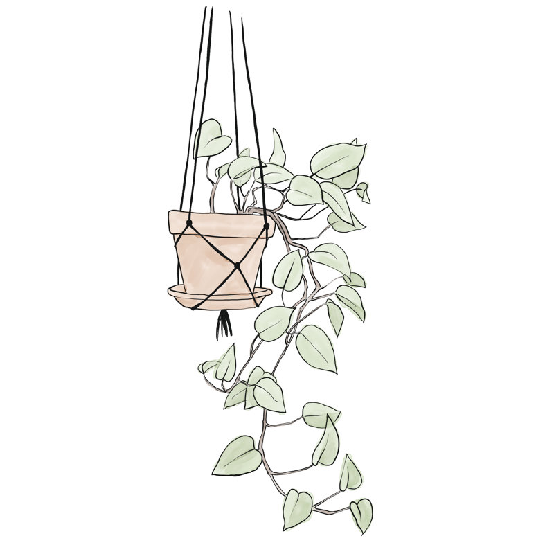 Hanging Plant - Wrapped Canvas Print, 122cm H x 81cm W x 3.8cm D