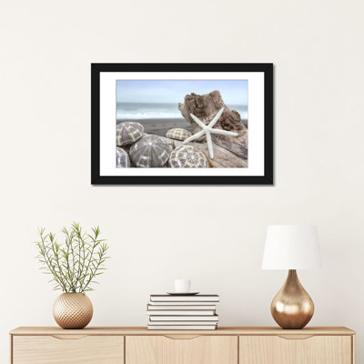 " Crescent Beach Shells V " Print