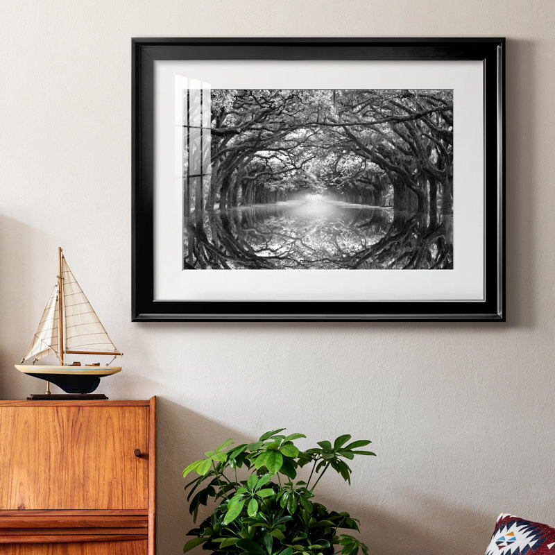 Oak Alley Reflection - photographie de cadre, H 30,5 po x l 42,5 po x P 1,5 po, Papier avec cadre noir