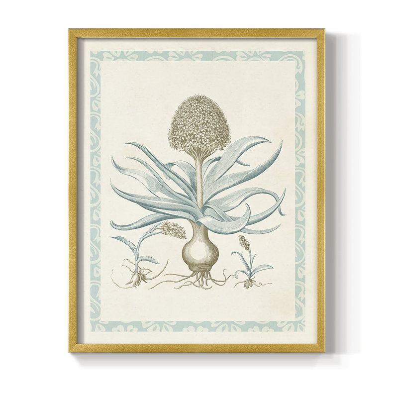 Reproduction encadrée Willow Blue Besler IV - bois massif, Or, H 10 po x l 8 po