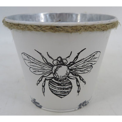 Upton Metal Cachepot