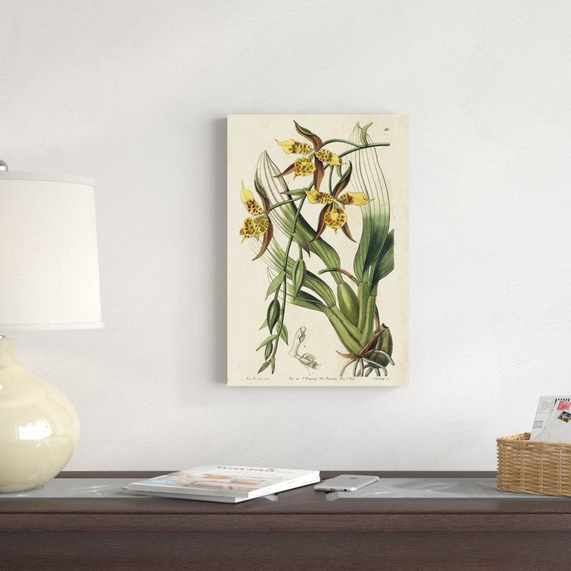 Orchidée de printemps I, H 18 po x l 12 po x P 1,25 po