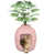 Rose est en rupture de stock