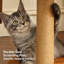 29.13 " H Cat Perch and Cat Post