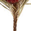 12" Jumbo Banksia Flower with Stem Dried-2138790473