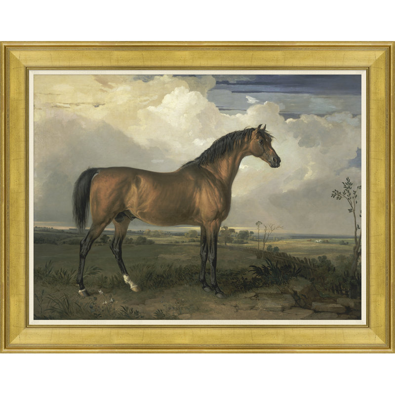 Champion Horse I Giclee Print