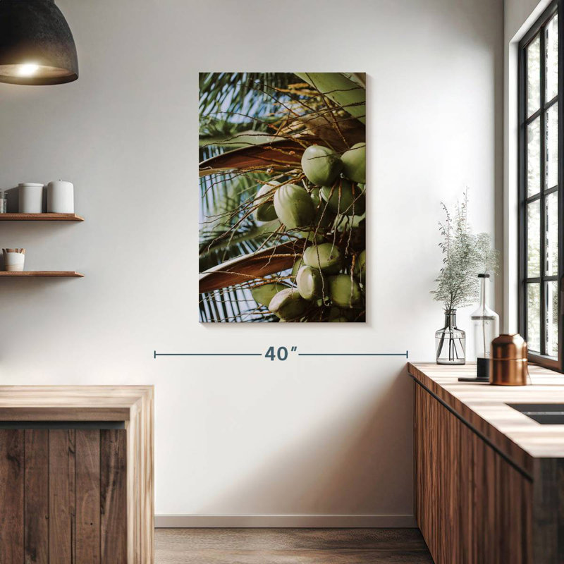 Harnek Fresh Coconuts, 39" H x 26" W