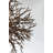 Sierra 6 - Light Sputnik Sphere Chandelier