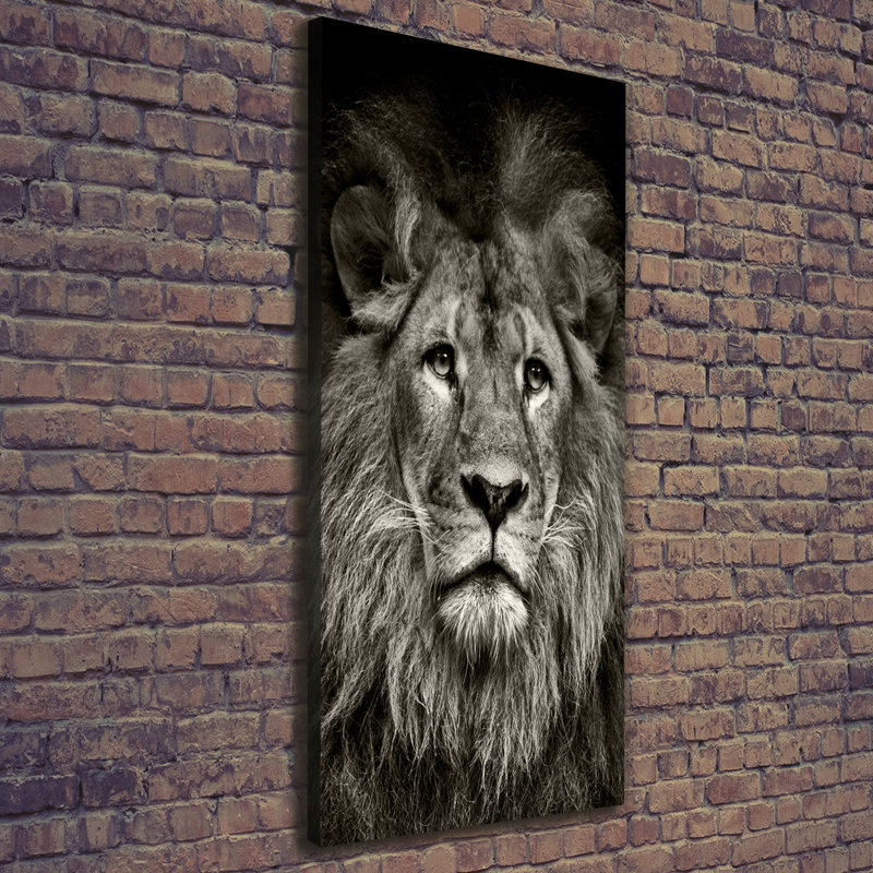 Lion - Wrapped Canvas Print