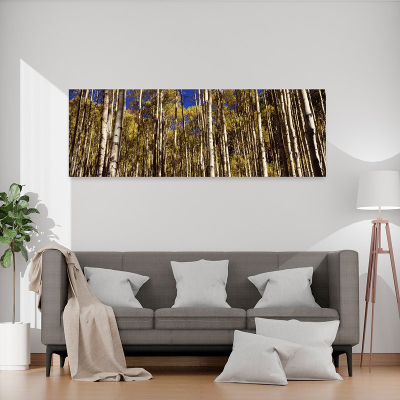 Aspen Trees in Autumn, Colorado, États-Unis, art contemporain de paysage forestier abstrait, H 60 po x l 20 po