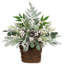28 plantes
