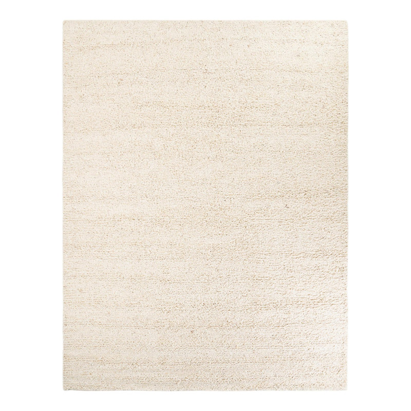 Yanaliz Hand Loomed Wool Indoor Rug, Rectangle 10' x 14'1"