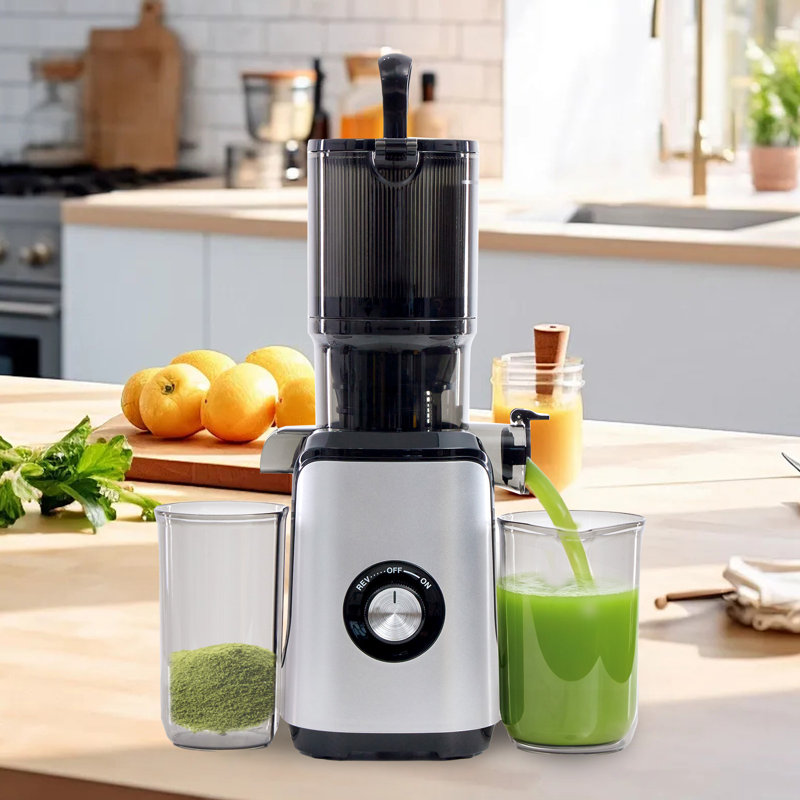 Cold Press Juicer, Slow Masticating Juicer, 200W Juice Extractor Machine, For Whole Vegetables and Fruits, Easy to Clean