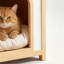 Cage pour chien