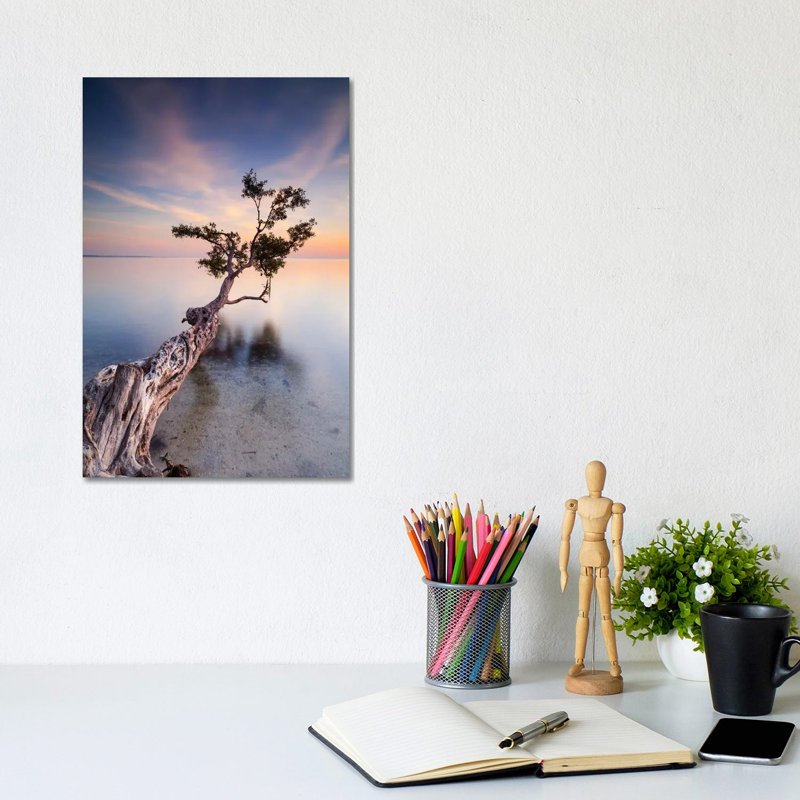 Water Tree X by Moises Levy - Wrapped Canvas Print, 20.32 cm H x 30.48 cm W