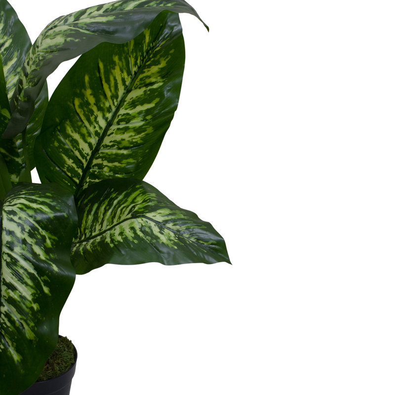 Plante artificielle de 36 po à feuilles variées vert et ivoire Dieffenbachia