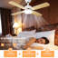 Ventilateurs de plafond avec lumières-2027251641-2027251640