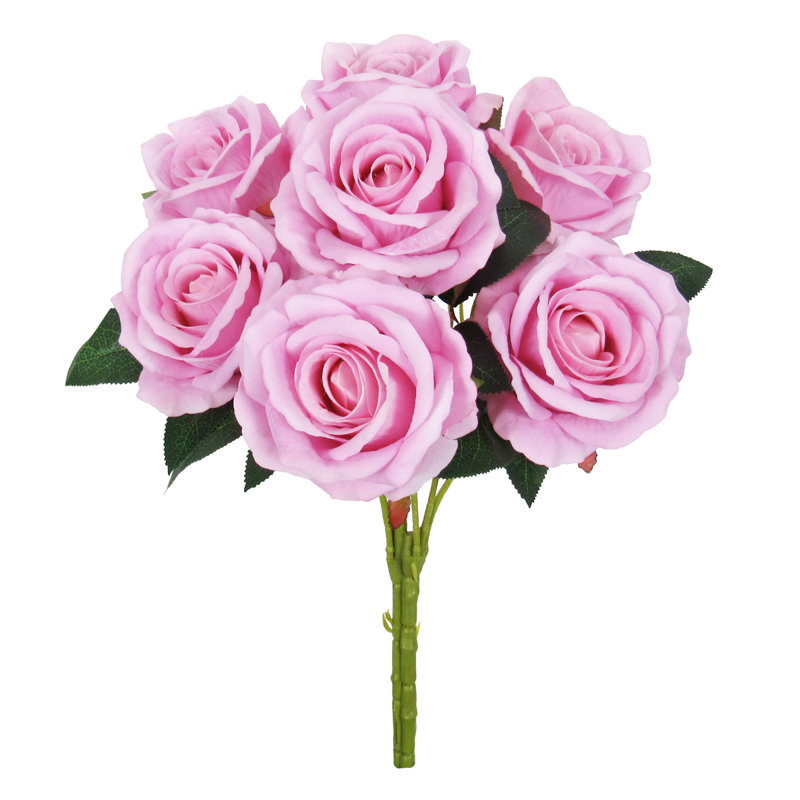 Velours rosier, Rose
