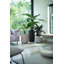 Pure Beads Pot Planter-48811436-48811440