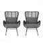Ensemble de 2 chaises de patio en osier avec coussins Tapscott