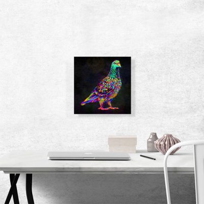 Pigeon colombe - impression sur toile tendue