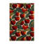  Tapis lavable pomme malaise-1727938624
